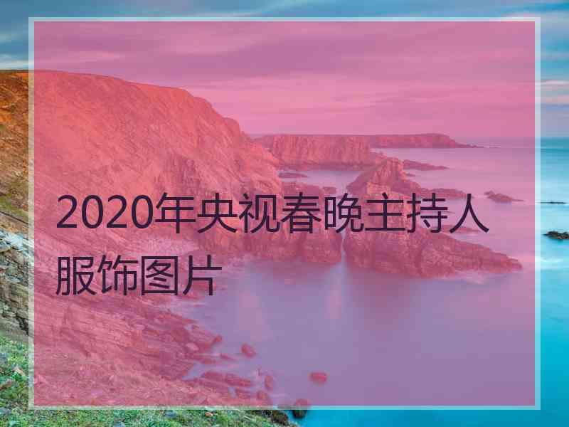 2020年央视春晚主持人服饰图片