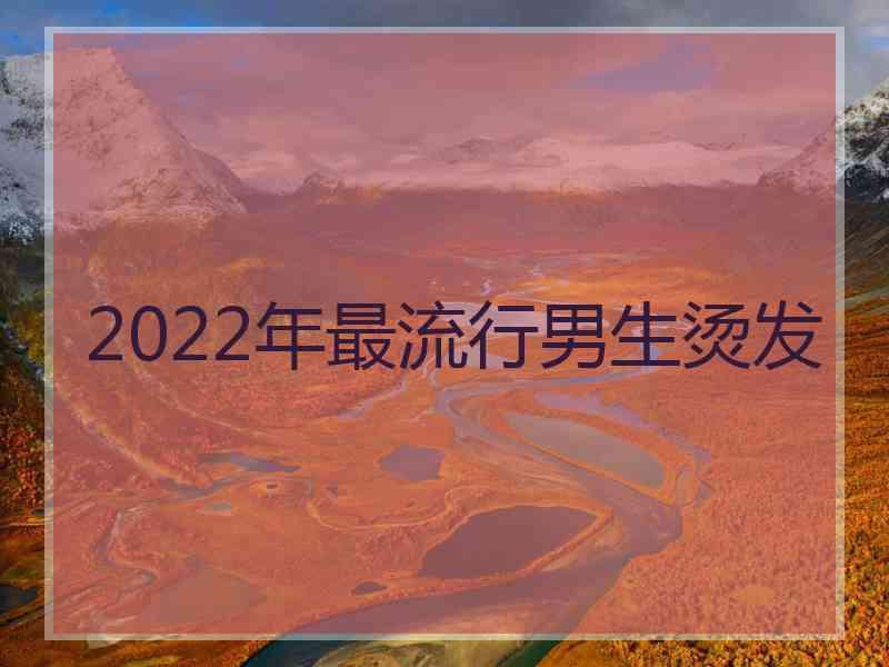 2022年最流行男生烫发