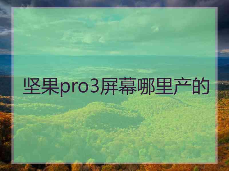 坚果pro3屏幕哪里产的