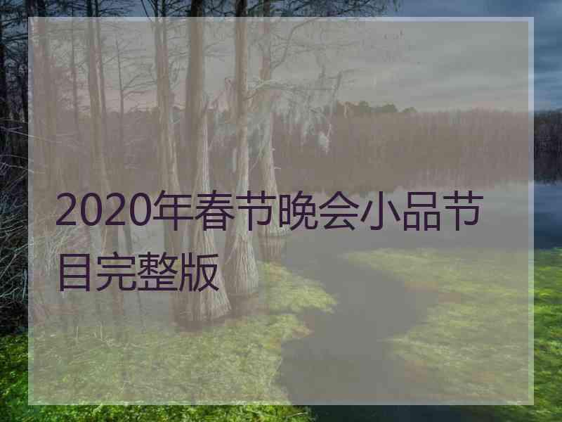 2020年春节晚会小品节目完整版