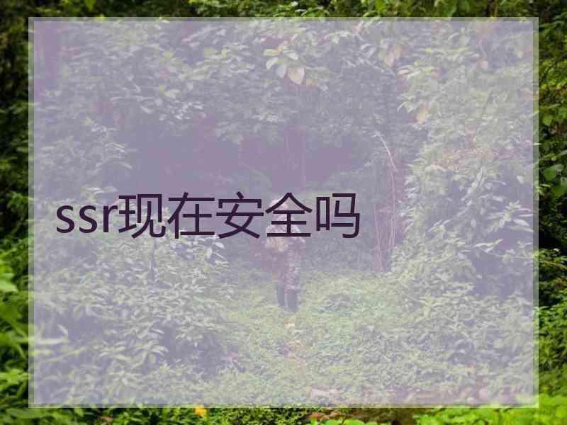 ssr现在安全吗