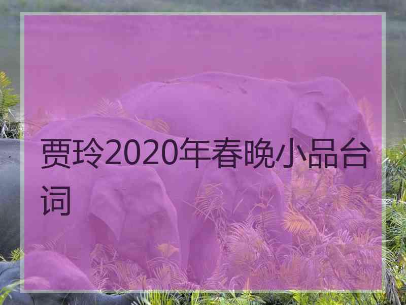 贾玲2020年春晚小品台词