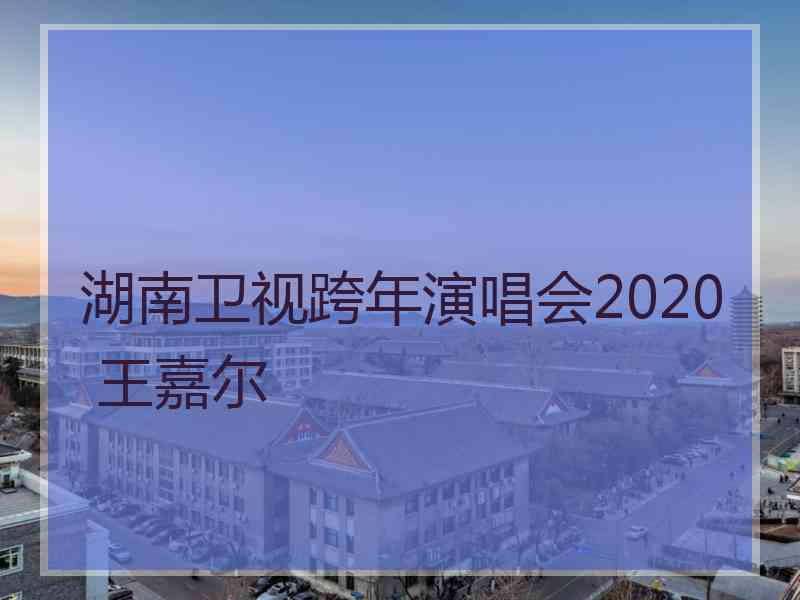 湖南卫视跨年演唱会2020 王嘉尔