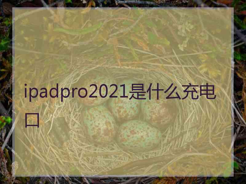 ipadpro2021是什么充电口