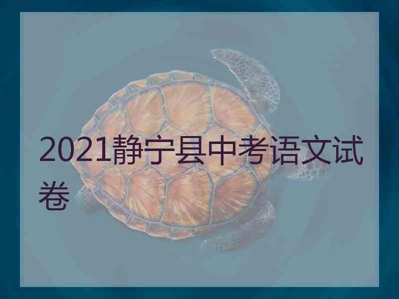 2021静宁县中考语文试卷