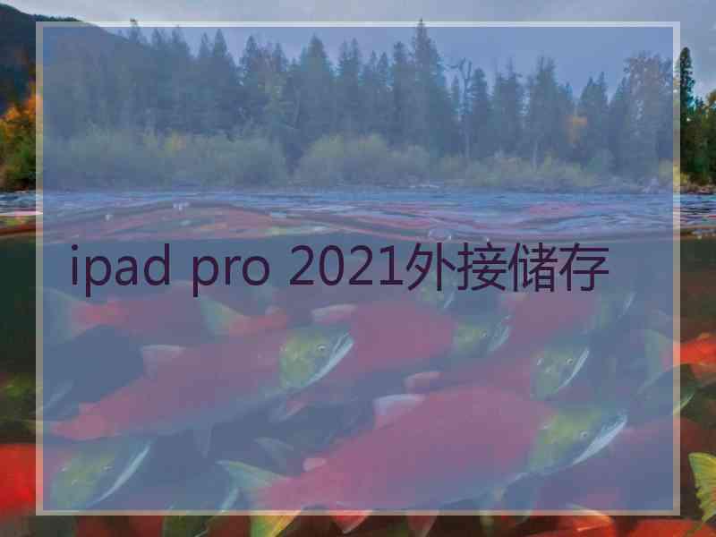 ipad pro 2021外接储存