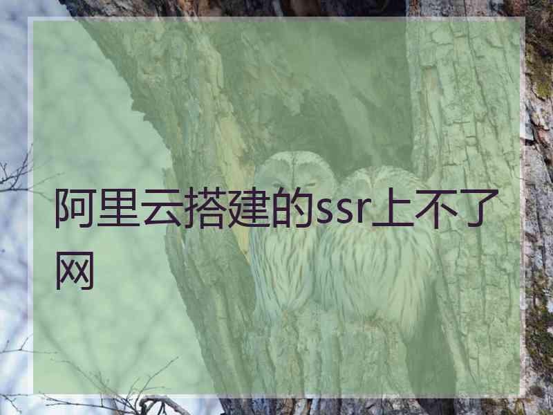 阿里云搭建的ssr上不了网