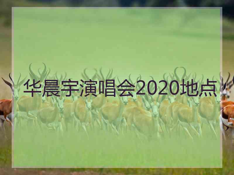 华晨宇演唱会2020地点