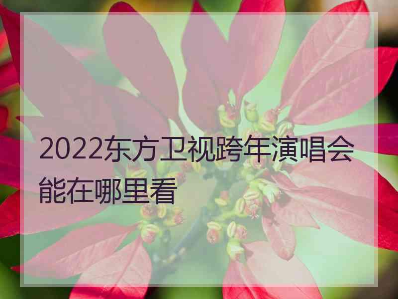 2022东方卫视跨年演唱会能在哪里看