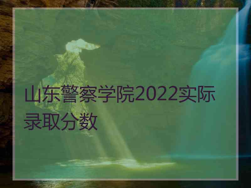 山东警察学院2022实际录取分数