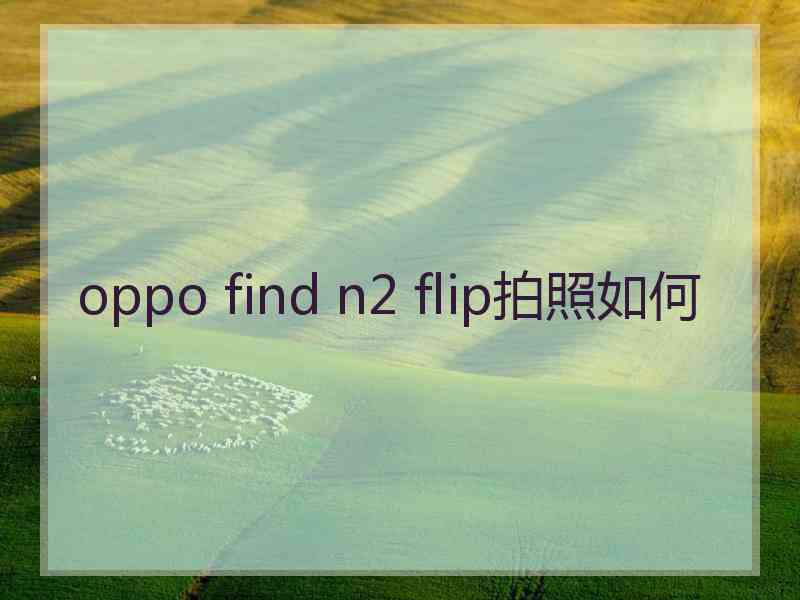 oppo find n2 flip拍照如何