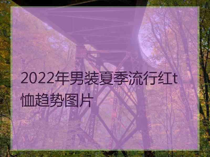 2022年男装夏季流行红t恤趋势图片