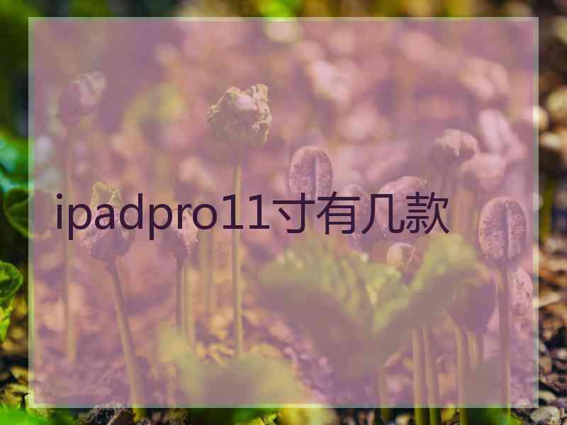 ipadpro11寸有几款