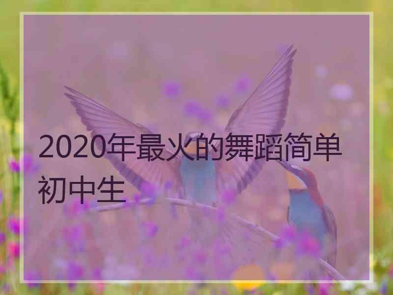 2020年最火的舞蹈简单初中生