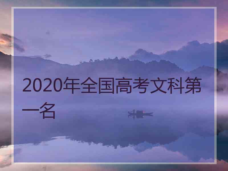 2020年全国高考文科第一名