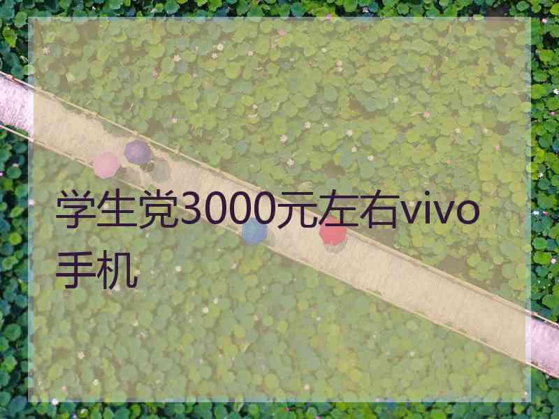 学生党3000元左右vivo手机