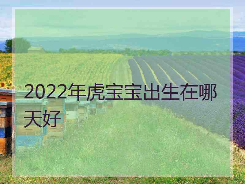 2022年虎宝宝出生在哪天好