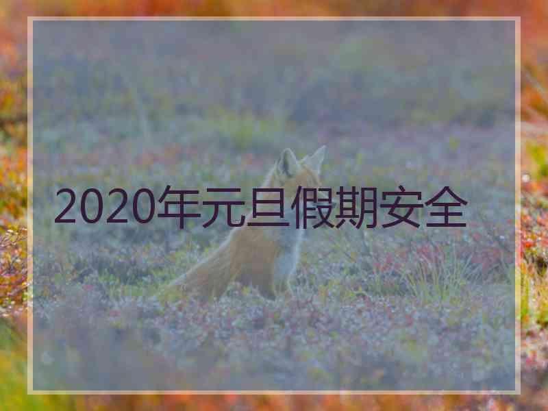 2020年元旦假期安全