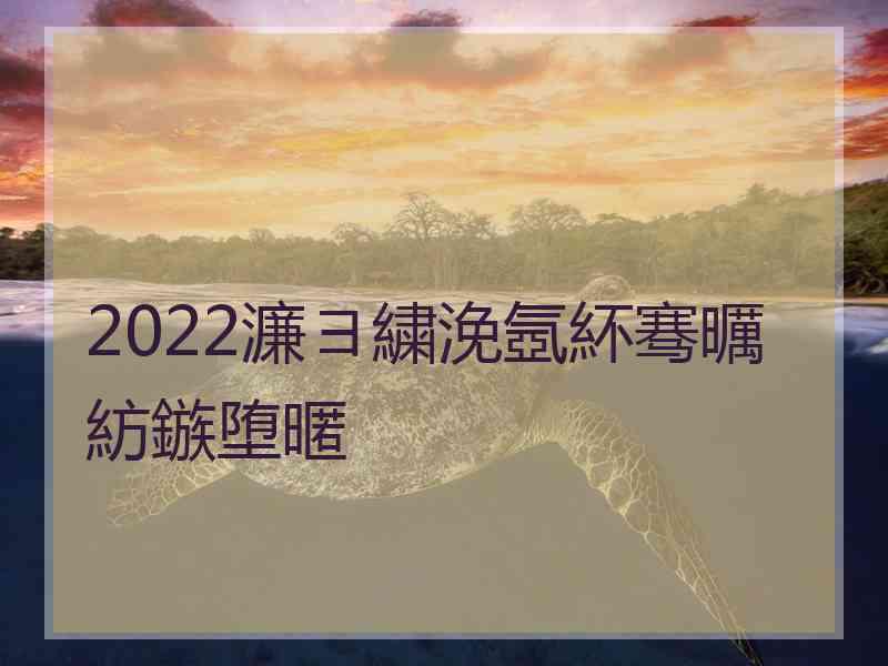 2022濂ヨ繍浼氬紑骞曞紡鏃堕暱