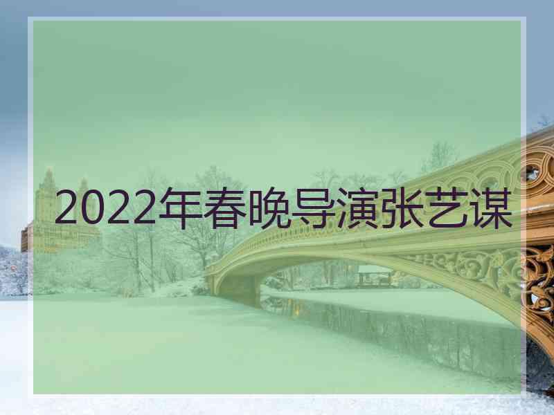 2022年春晚导演张艺谋