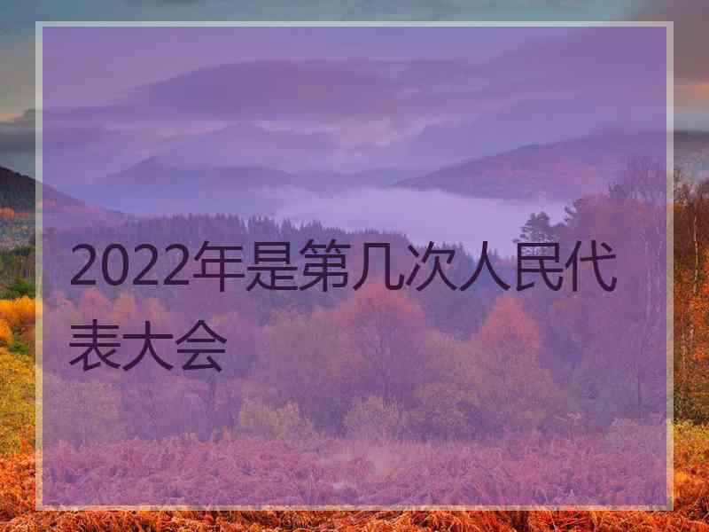 2022年是第几次人民代表大会