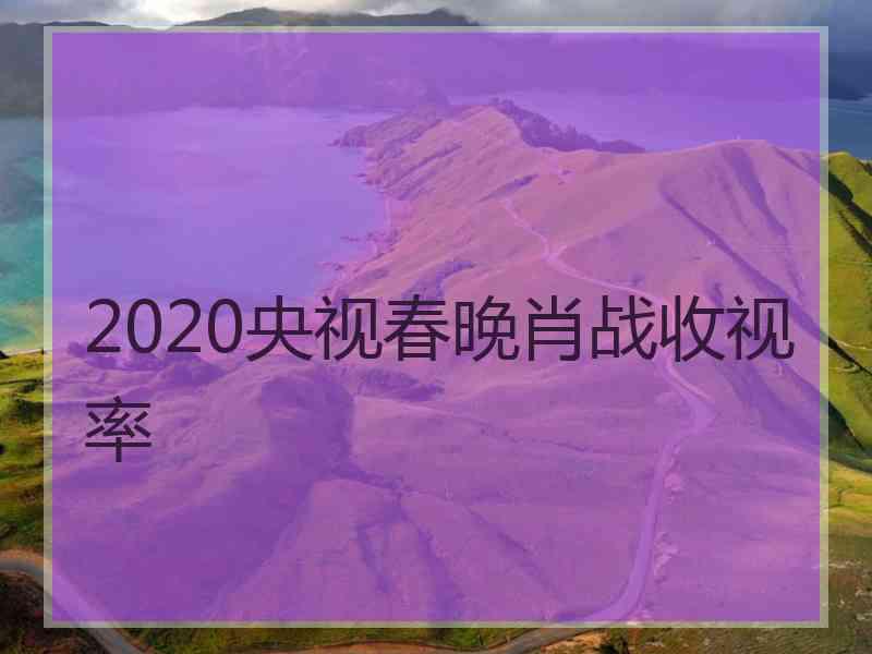 2020央视春晚肖战收视率