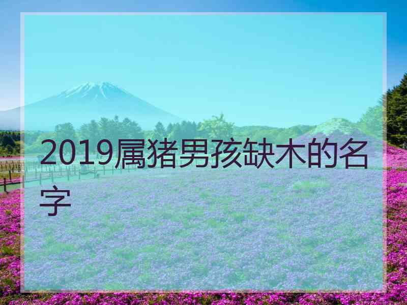 2019属猪男孩缺木的名字