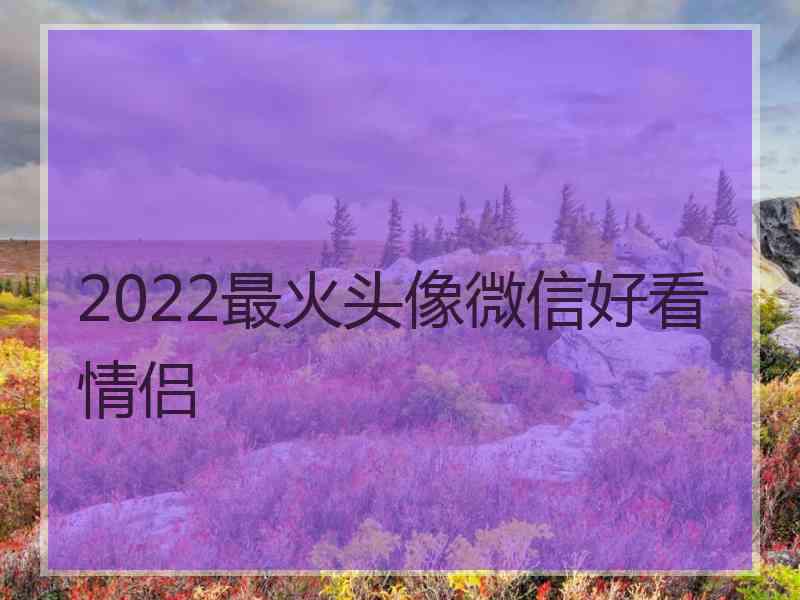 2022最火头像微信好看情侣