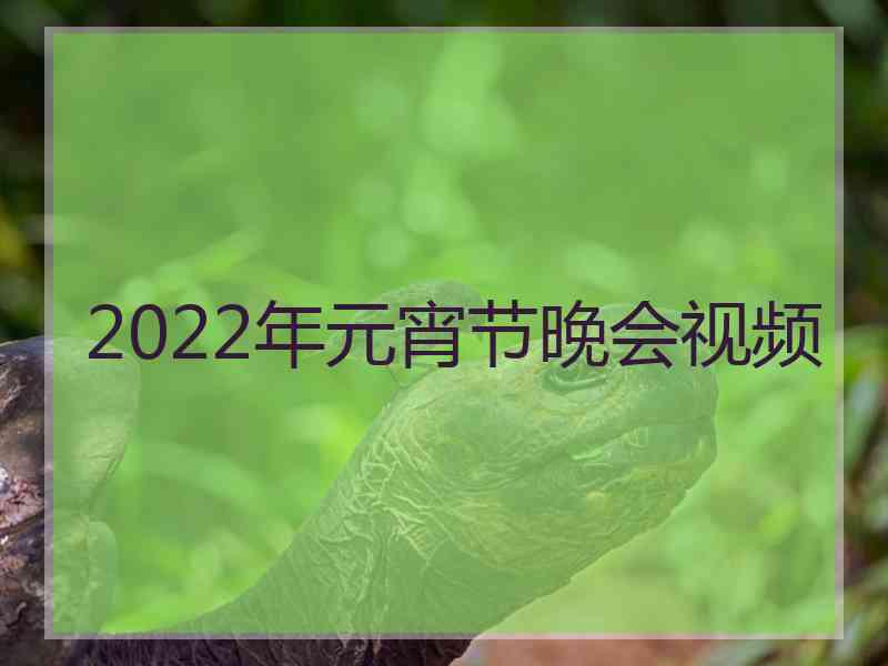 2022年元宵节晚会视频