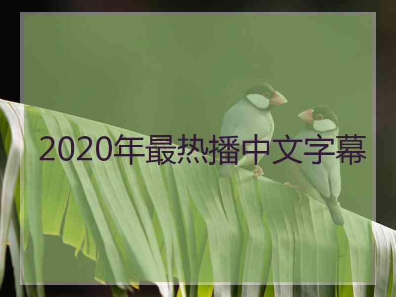 2020年最热播中文字幕