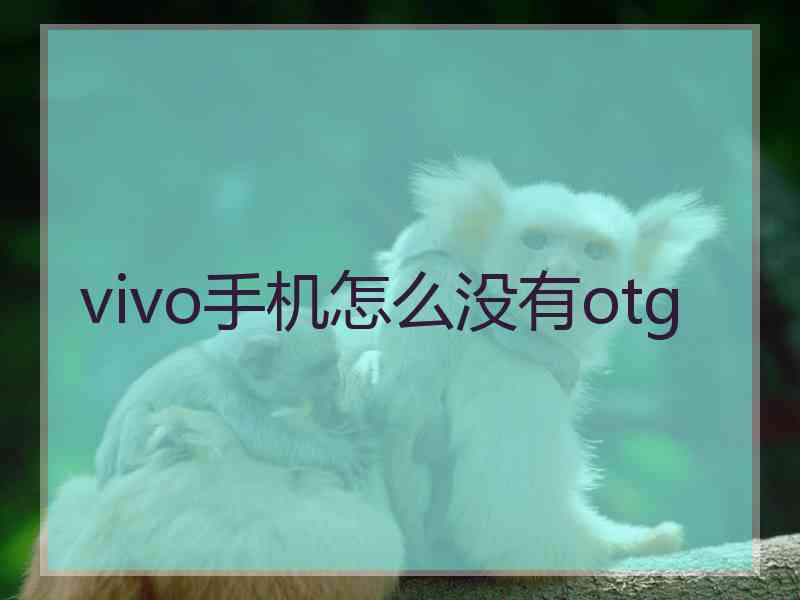 vivo手机怎么没有otg