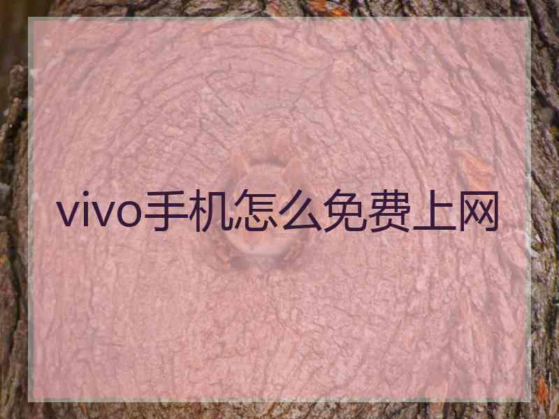 vivo手机怎么免费上网