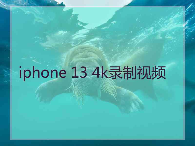 iphone 13 4k录制视频