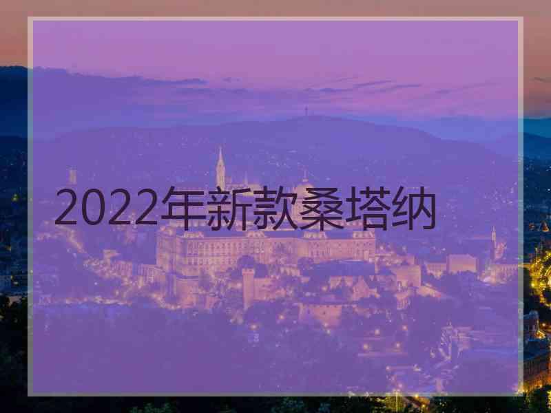 2022年新款桑塔纳