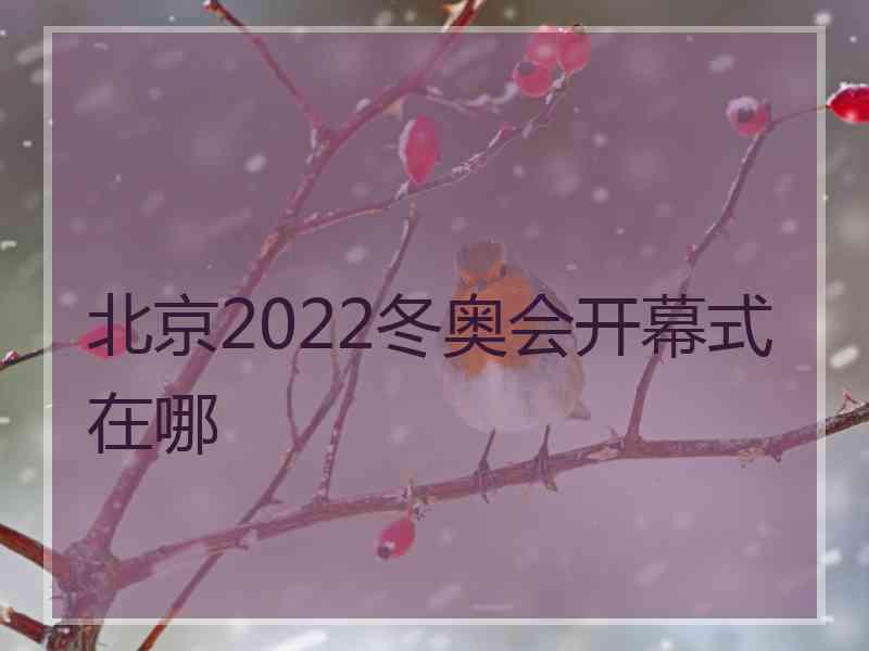 北京2022冬奥会开幕式在哪