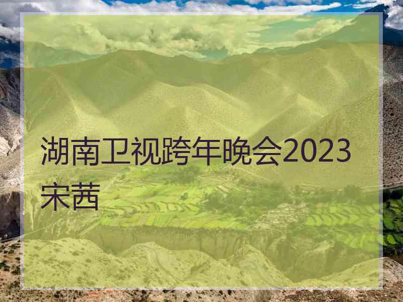 湖南卫视跨年晚会2023 宋茜