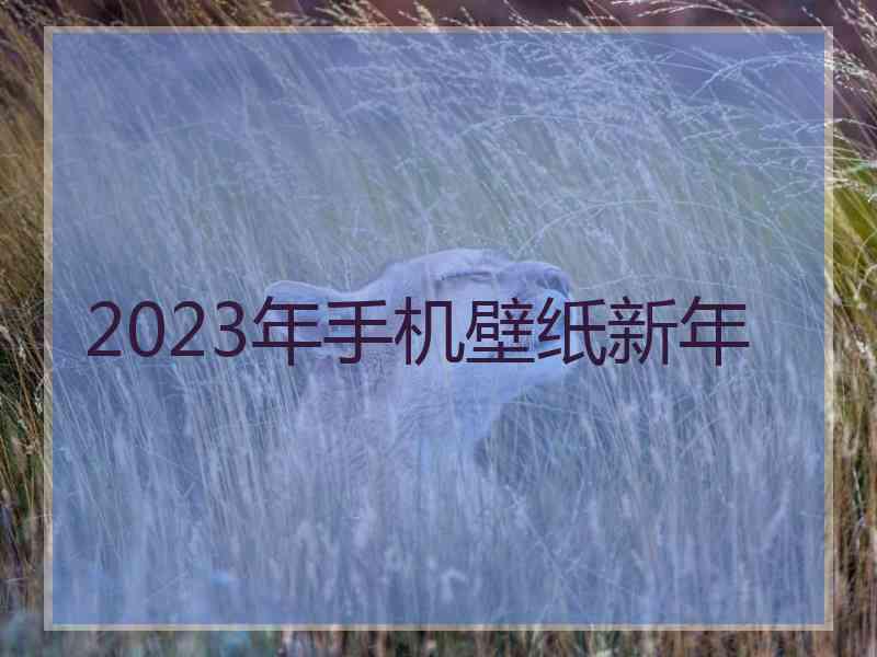 2023年手机壁纸新年