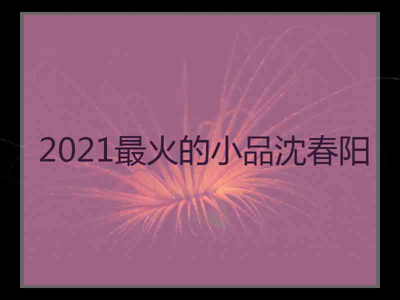 2021最火的小品沈春阳