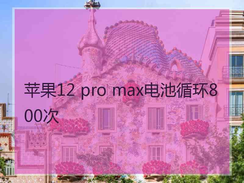 苹果12 pro max电池循环800次