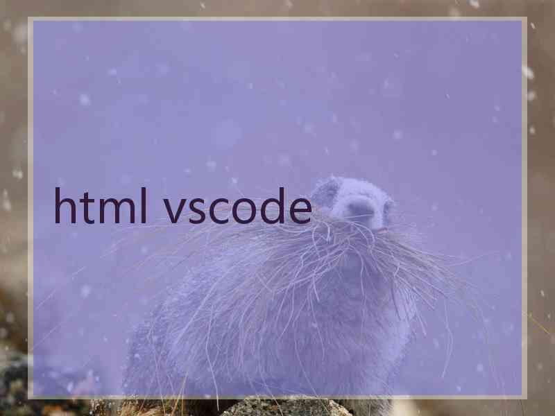 html vscode