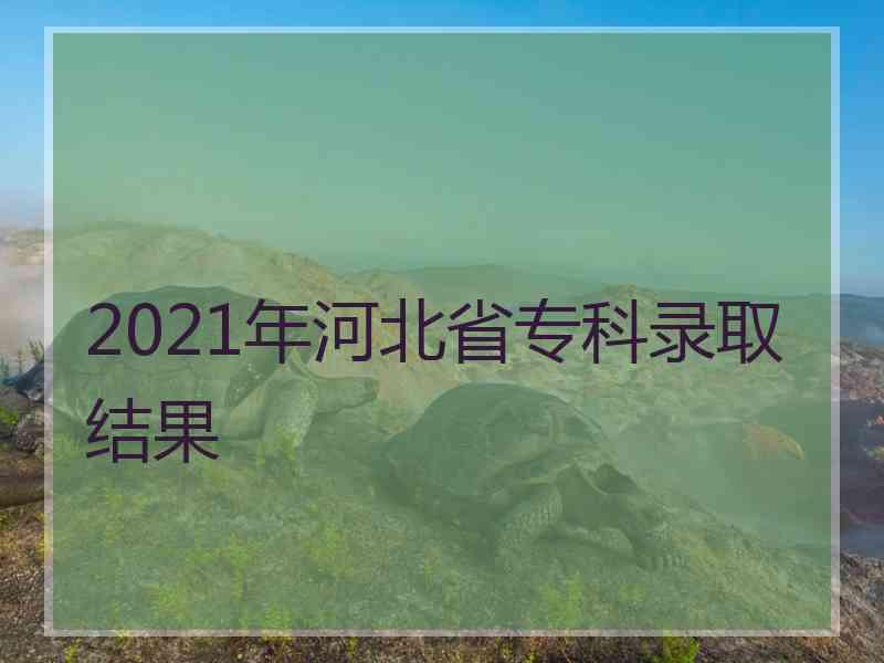 2021年河北省专科录取结果