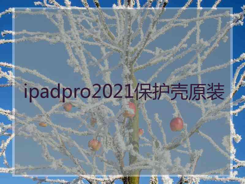 ipadpro2021保护壳原装