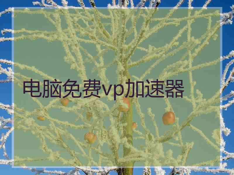 电脑免费vp加速器