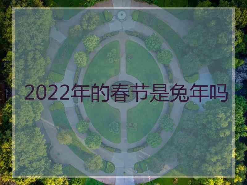 2022年的春节是兔年吗