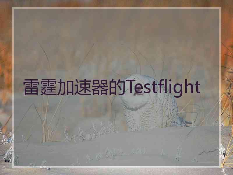 雷霆加速器的Testflight