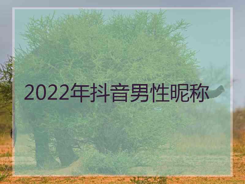 2022年抖音男性昵称