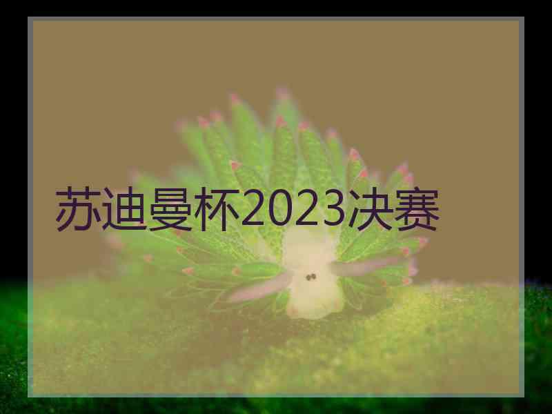 苏迪曼杯2023决赛