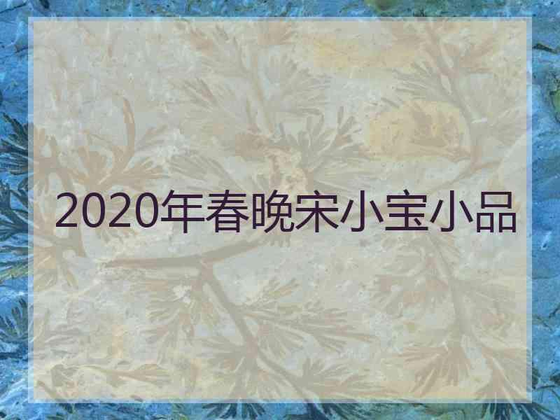 2020年春晚宋小宝小品