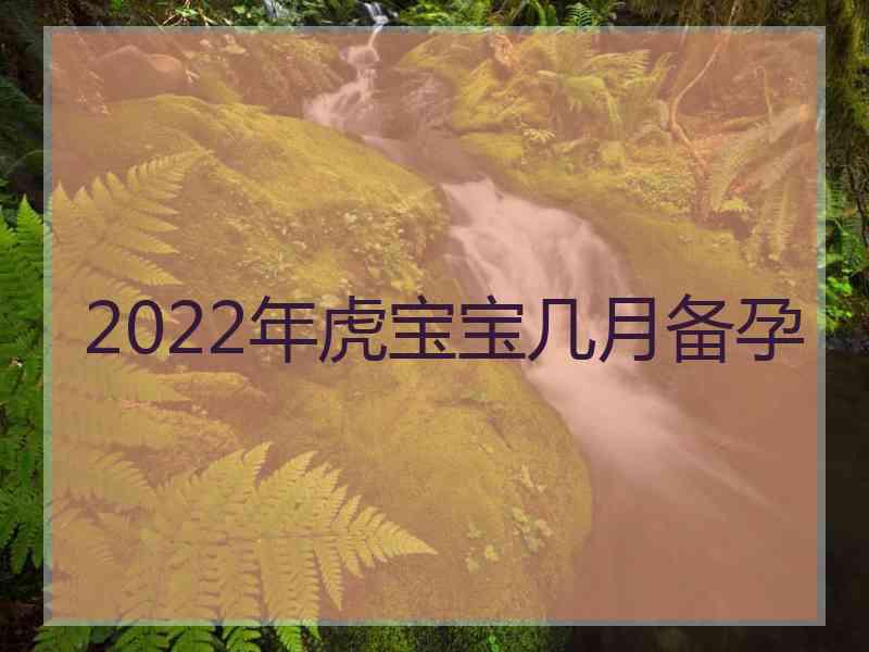 2022年虎宝宝几月备孕