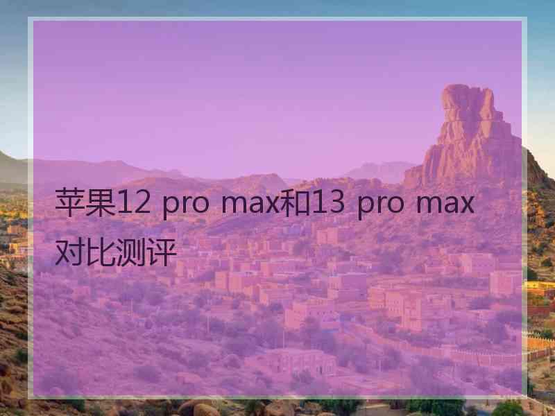 苹果12 pro max和13 pro max对比测评